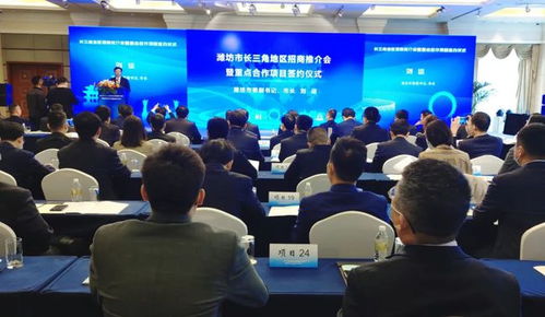 濰坊教育再添新翼 喜提“全省第一”后，又一所高校將拔地而起