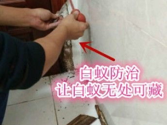 深圳專業保潔與除蟲服務 工廠、商店、展廳的全方位清潔解決方案